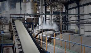 Rice Manufacturers & Exporters in India